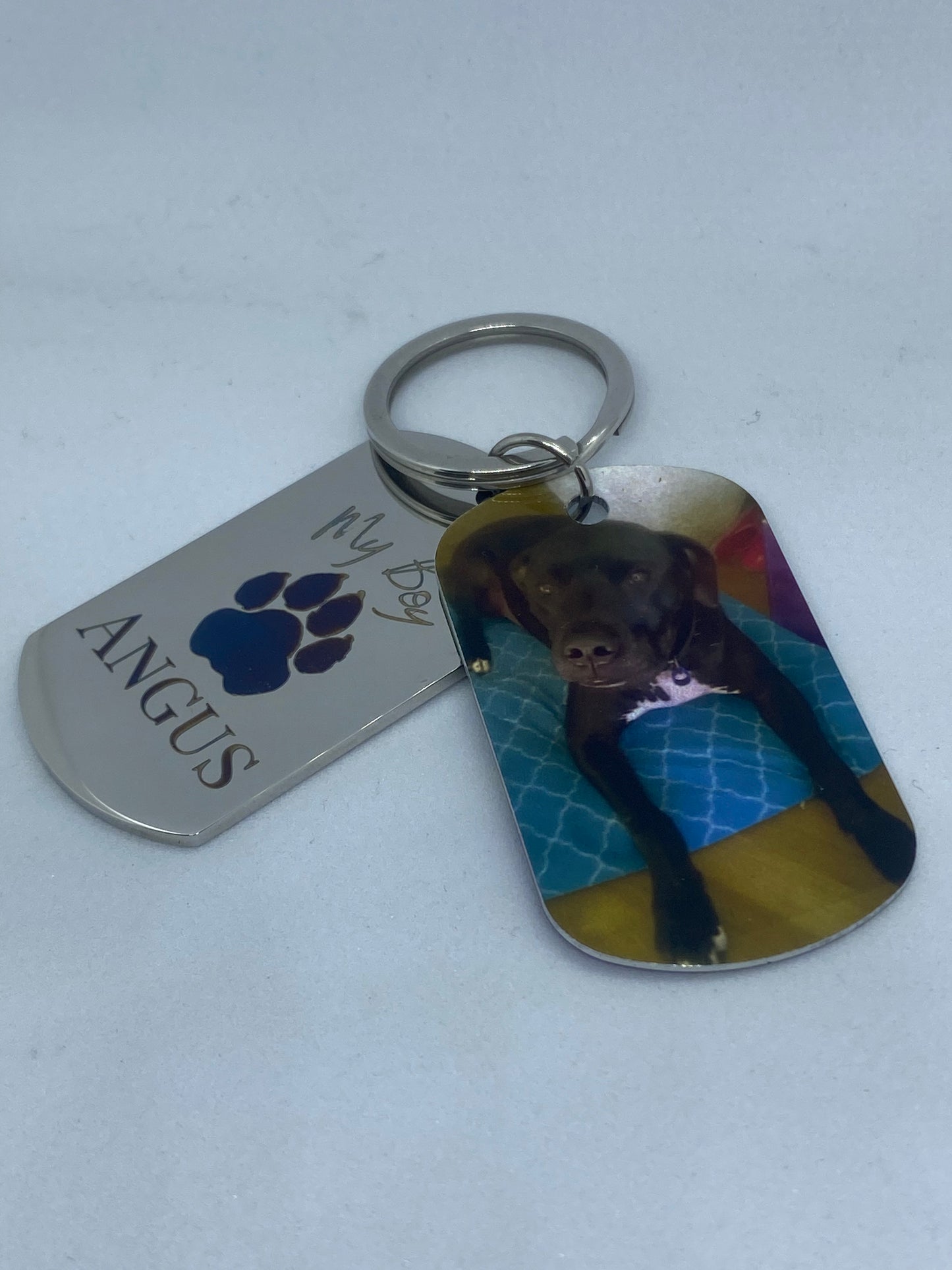 Custom Engraved Pet Keychain with Colour Photo Tags