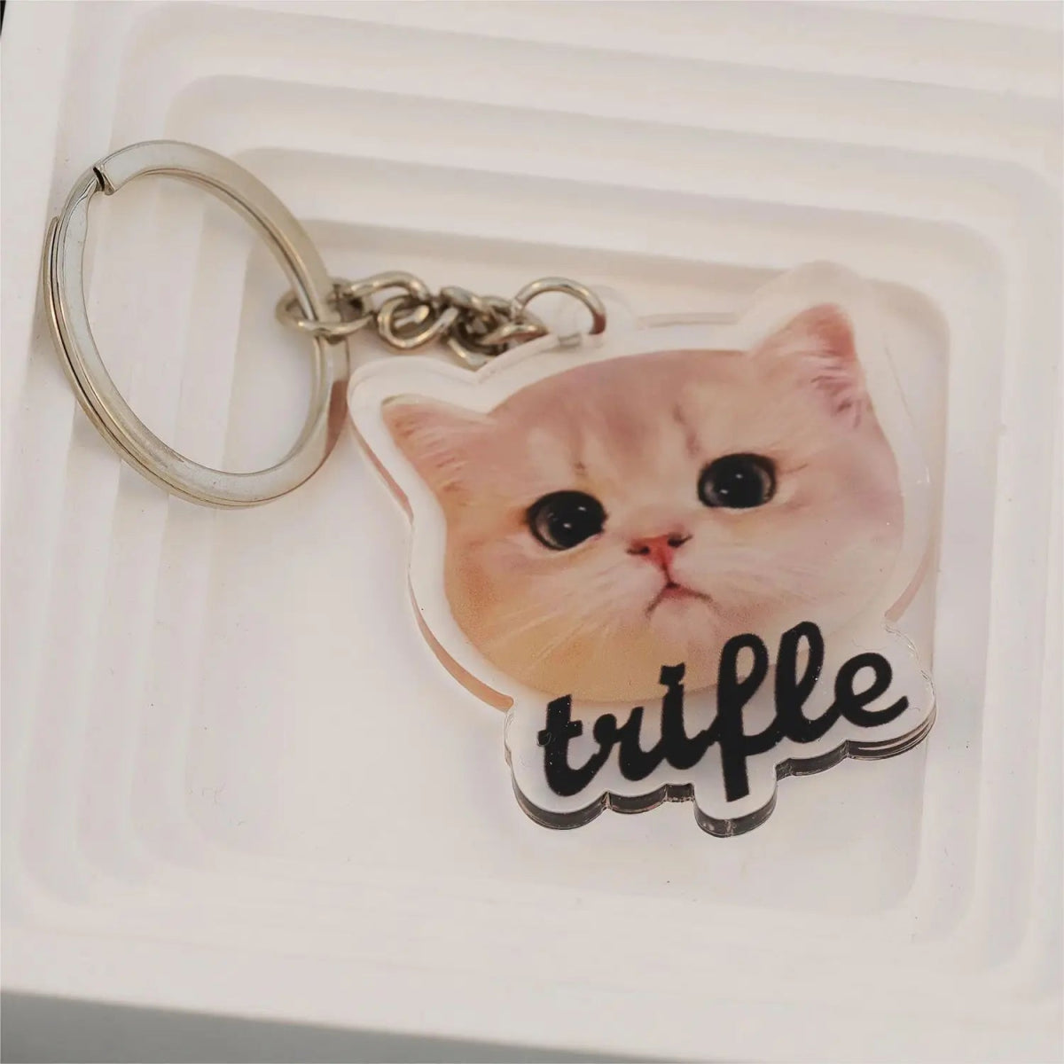 Custom Acrylic Holographic Pet Keychain - photo keychain Personalisr Au
