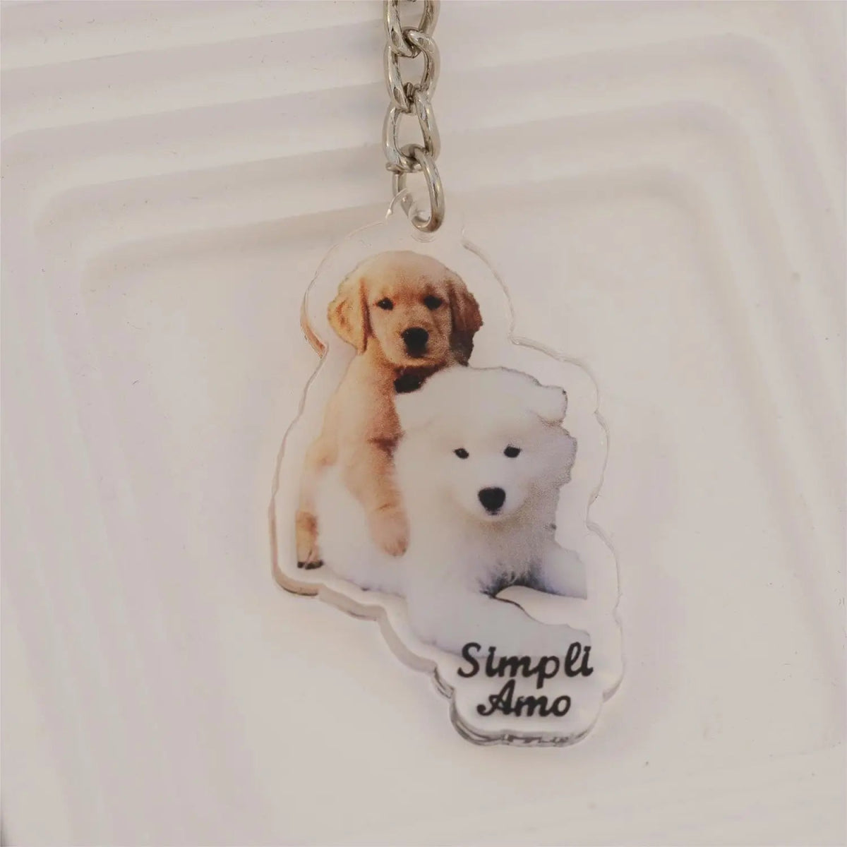 Custom Acrylic Holographic Pet Keychainphoto keychain