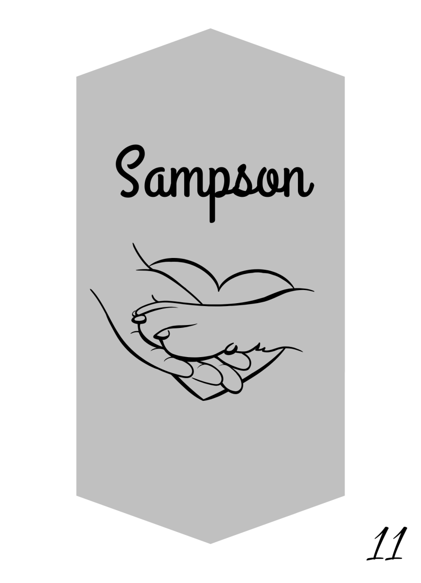 Custom Engraved Pet Keychain with Colour Photo Tags
