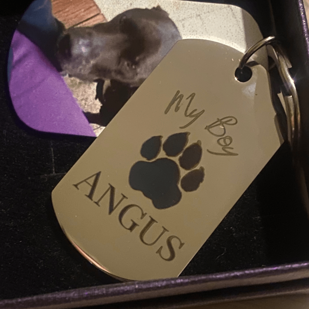 Custom Engraved Pet Keychain with Colour Photo Tags