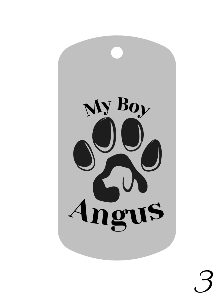 Custom Engraved Pet Keychain with Colour Photo Tags