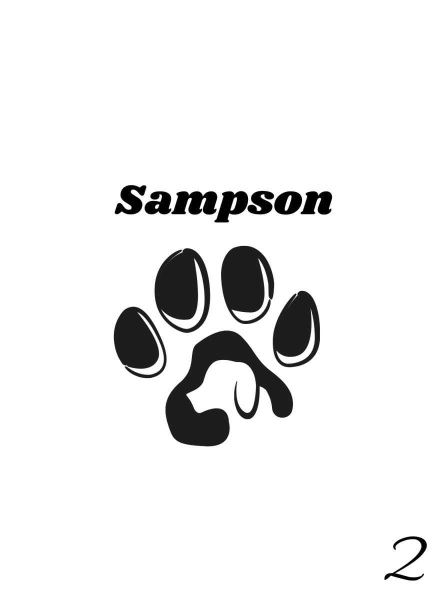 Custom Engraved Pet Keychain with Colour Photo Tags