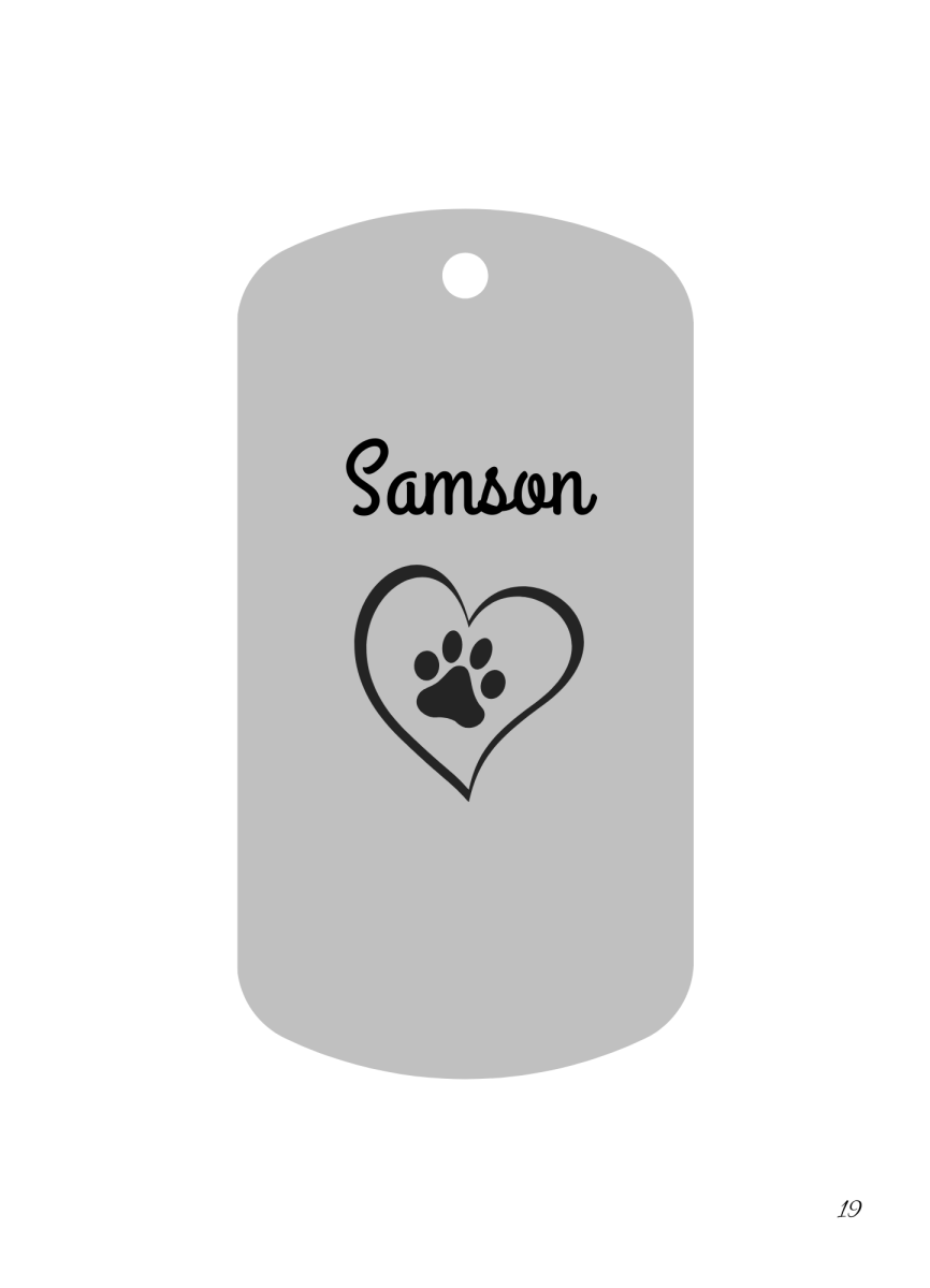 Custom Engraved Pet Keychain with Colour Photo Tags