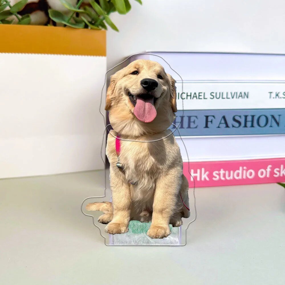 Customised Pet Photo Head Shaker Ornament - Head Shaker Figurine Personalisr Au