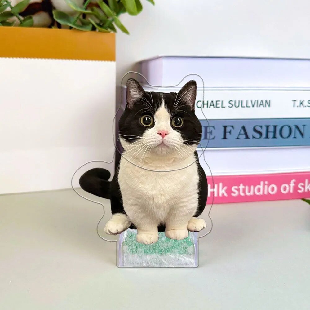 Customised Pet Photo Head Shaker OrnamentHead Shaker Figurine