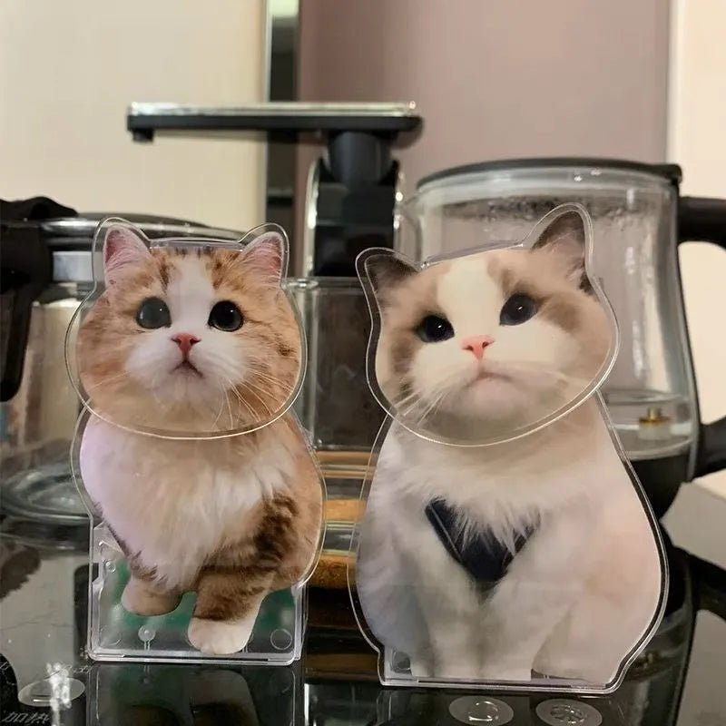 Customised Pet Photo Head Shaker Ornament - Head Shaker Figurine Personalisr Au