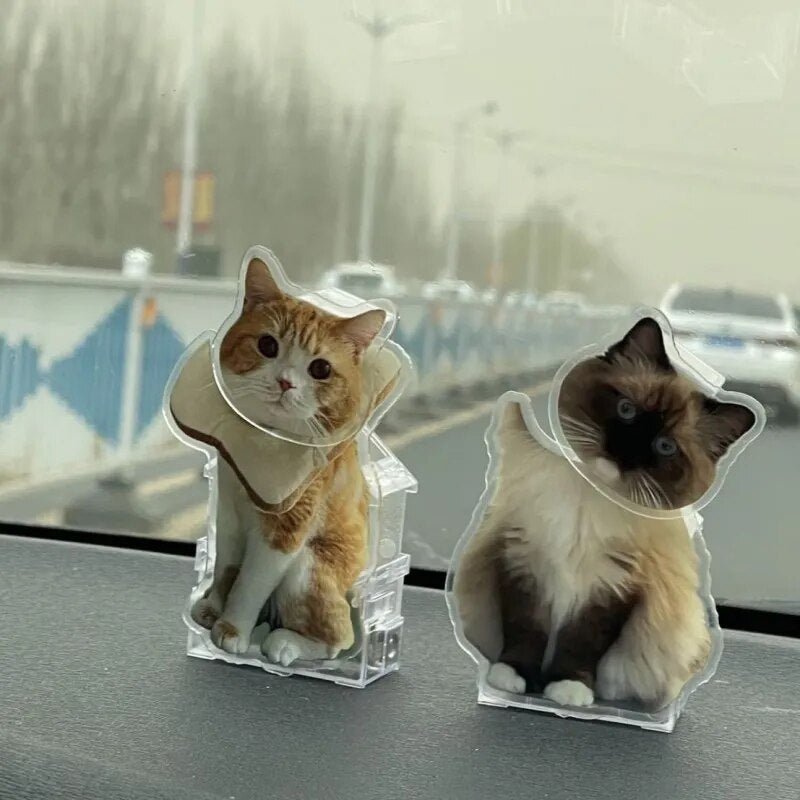 Customised Pet Photo Head Shaker OrnamentHead Shaker Figurine