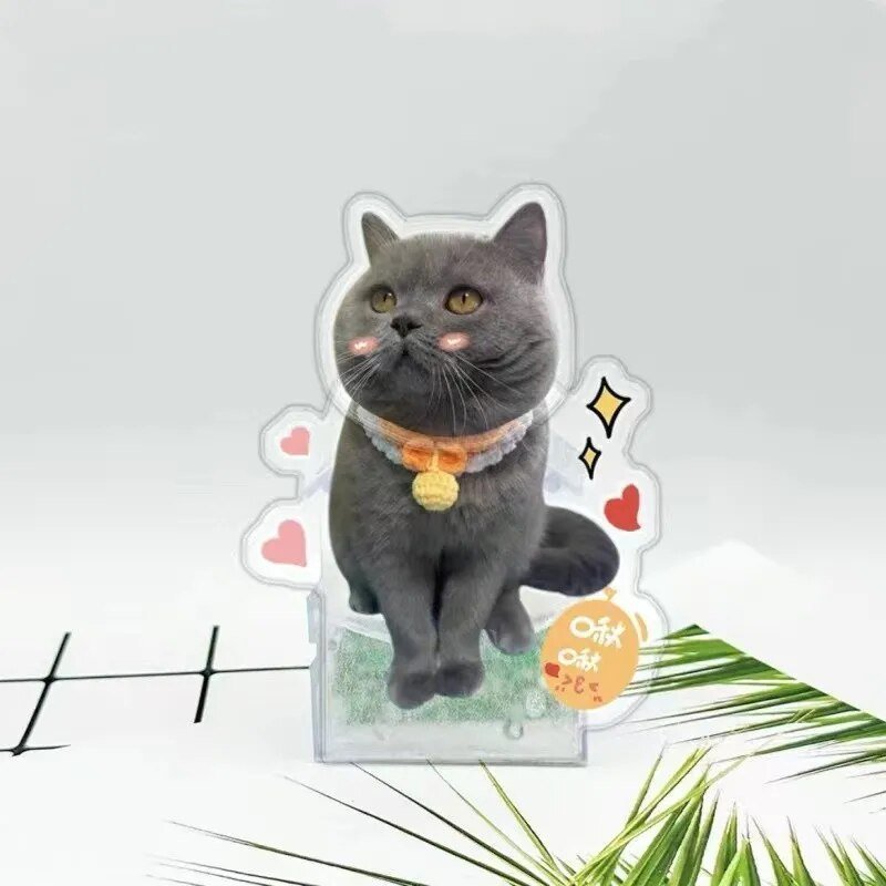 Customised Pet Photo Head Shaker OrnamentHead Shaker Figurine