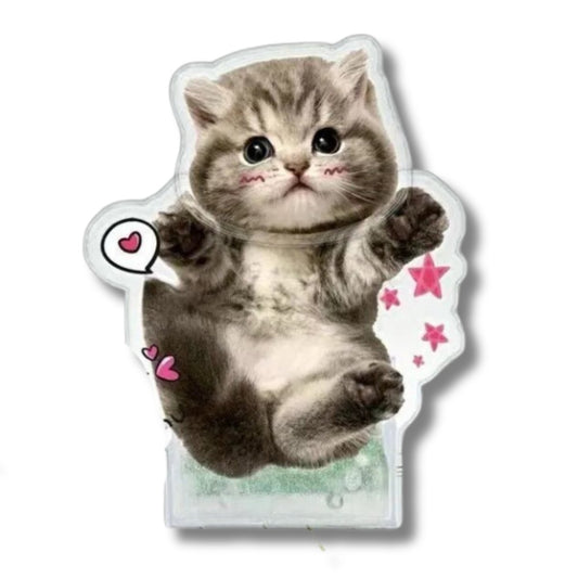 Customised Pet Photo Head Shaker Ornament - Head Shaker Figurine Personalisr Au
