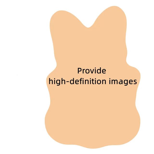 Customised Pet Photo Head Shaker OrnamentHead Shaker Figurine