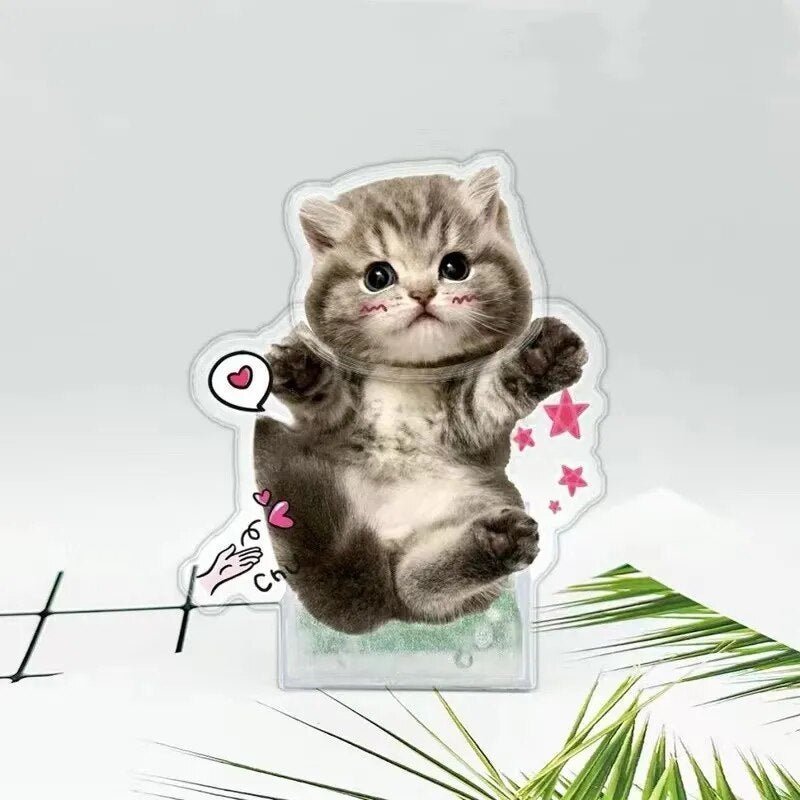 Customised Pet Photo Head Shaker OrnamentHead Shaker Figurine