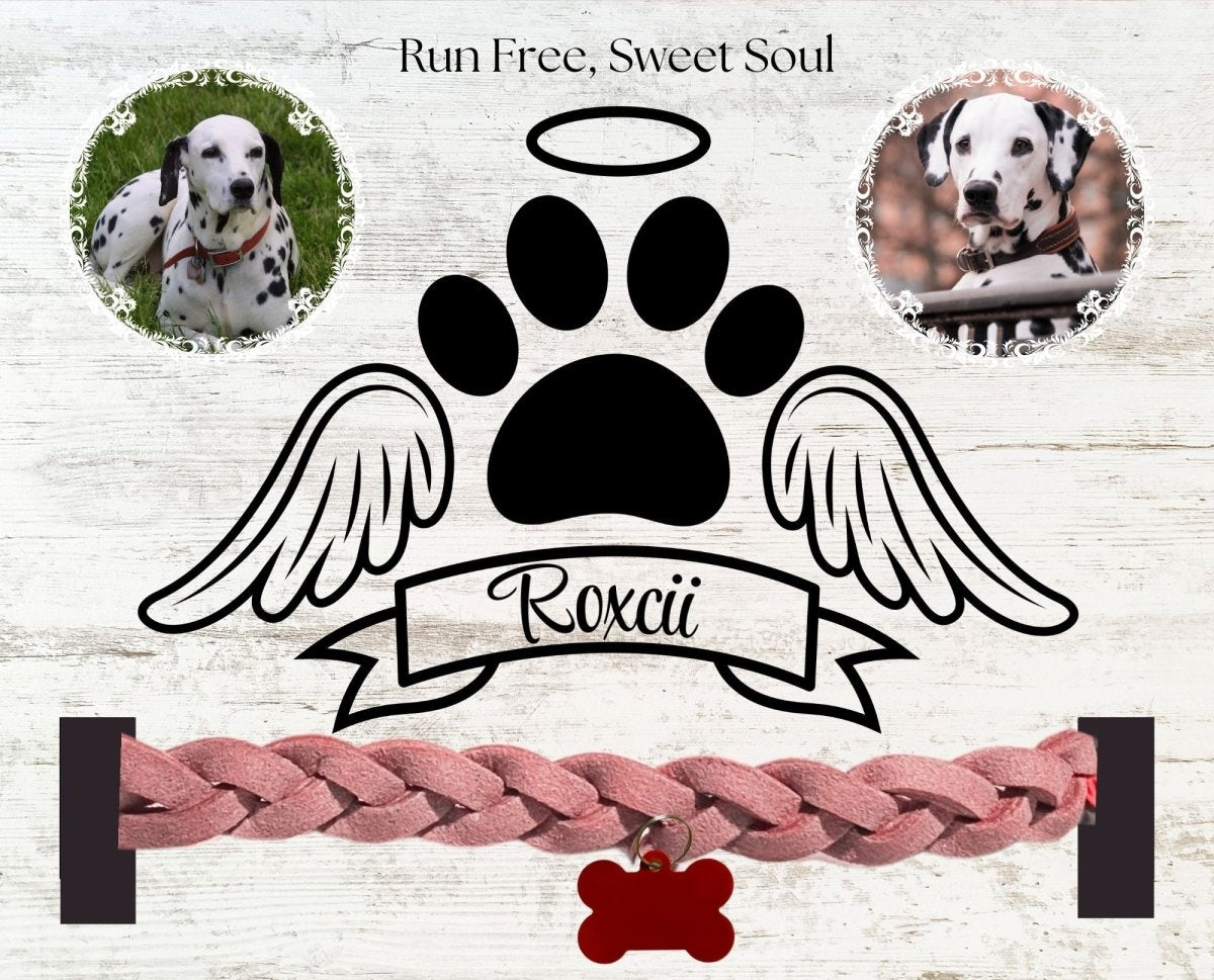 Dog Collar Memorial Photo Frame - print Personalisr Au
