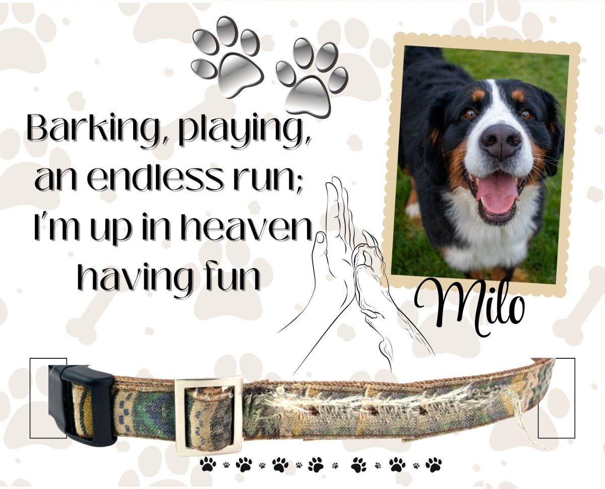 Dog Collar Memorial Photo Frame - print Personalisr Au