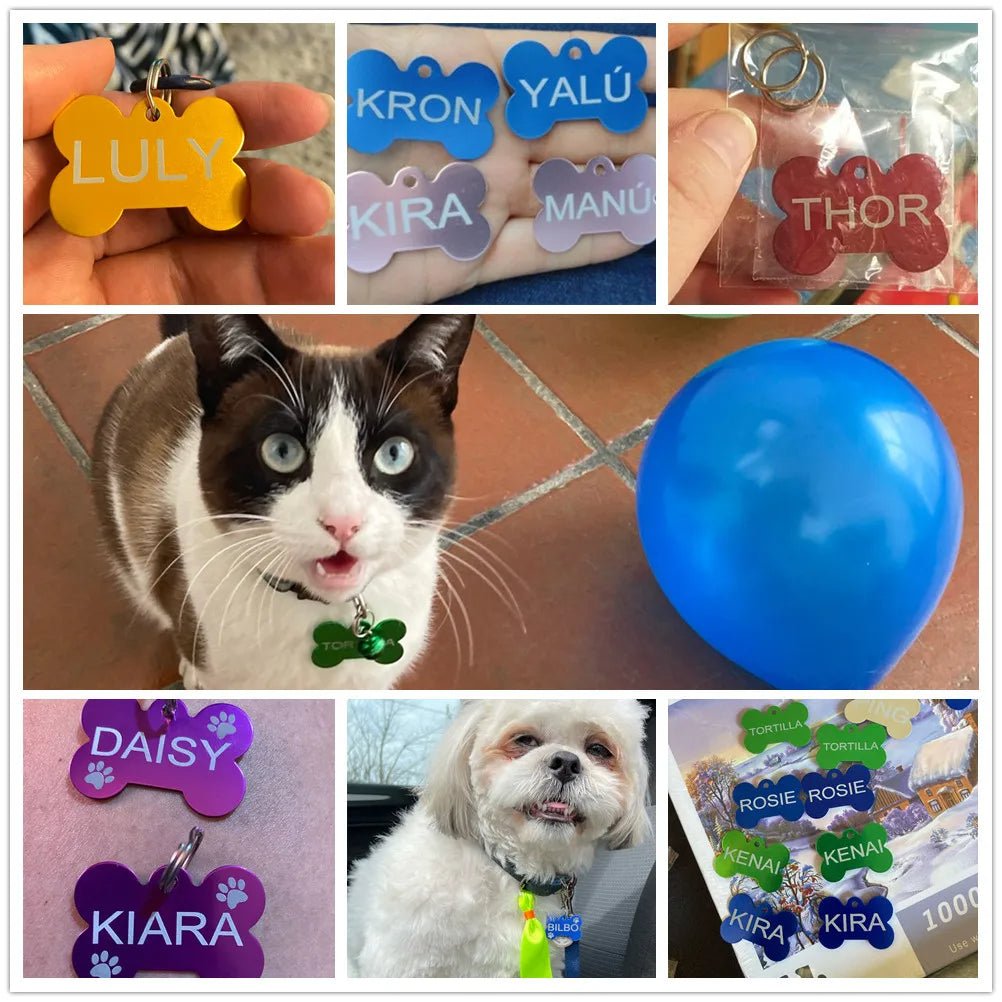 Engraved Aluminium Pet ID Tags - Colourful Designs - pet id tag Personalisr Au