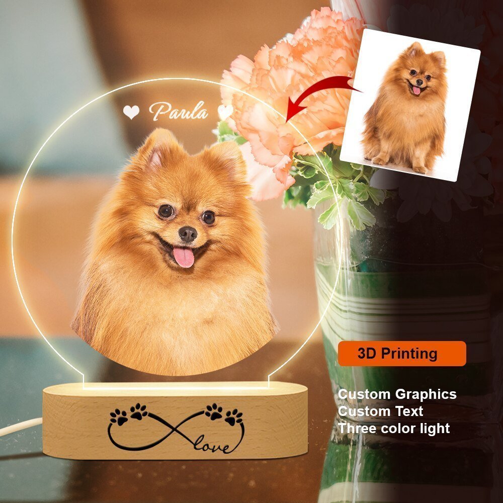 Personalised Custom Pet Photo LED Night Lightled custom light
