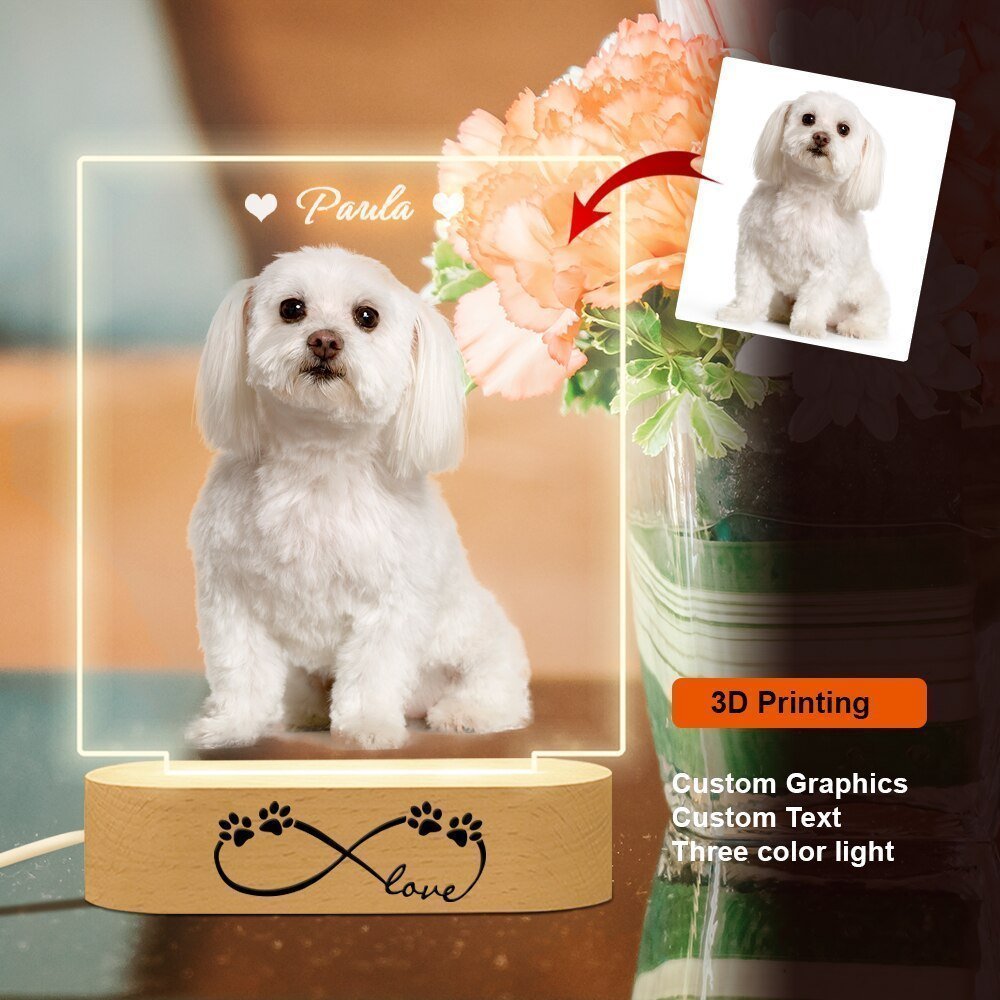 Personalised Custom Pet Photo LED Night Lightled custom light