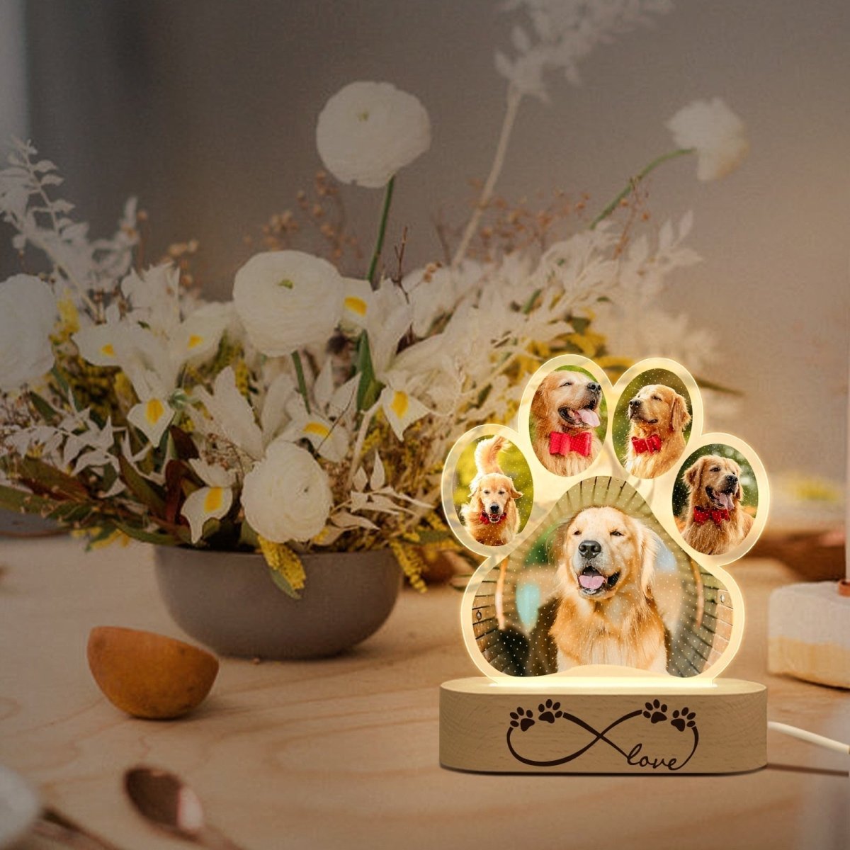 Personalised Custom Pet Photo LED Night Lightled custom light