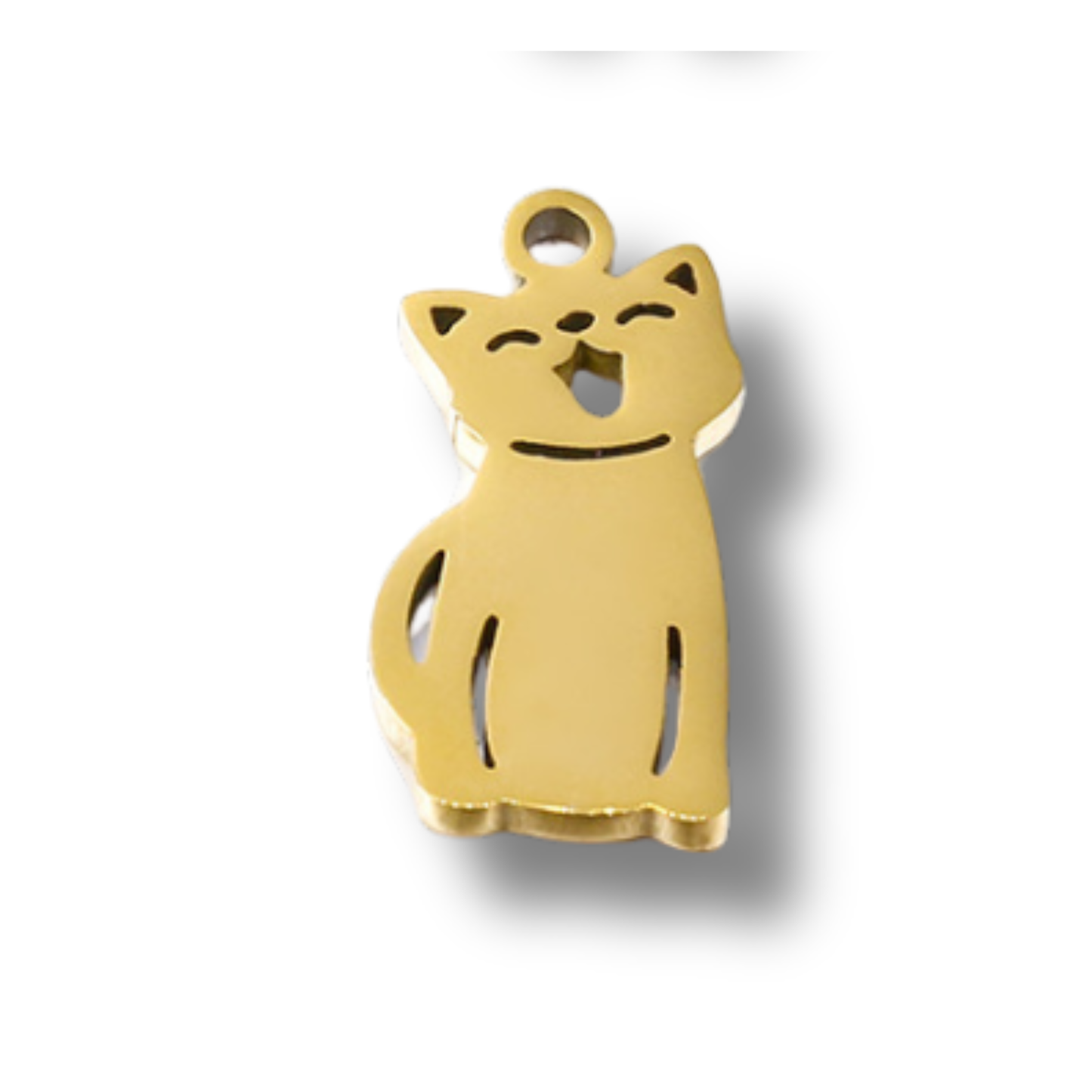 Engraved Cat Charm in Stainless Steel Silver