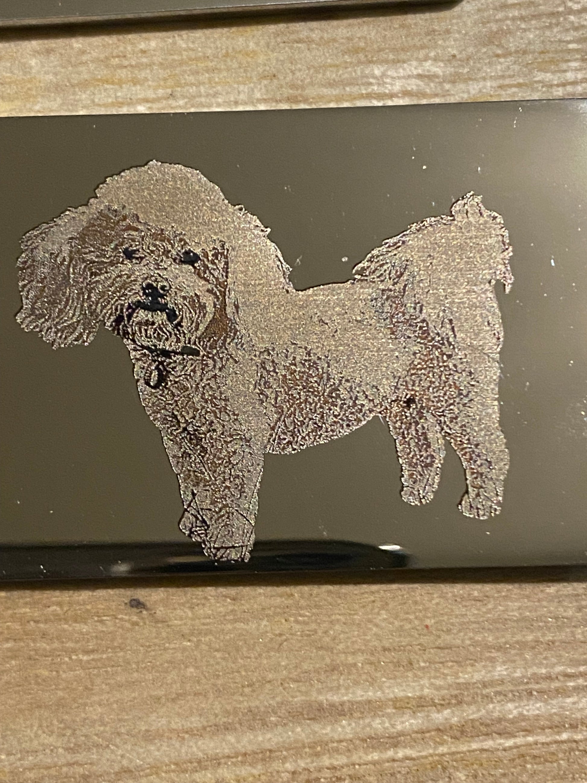 pet photo engraved keychain, silver dogtag

