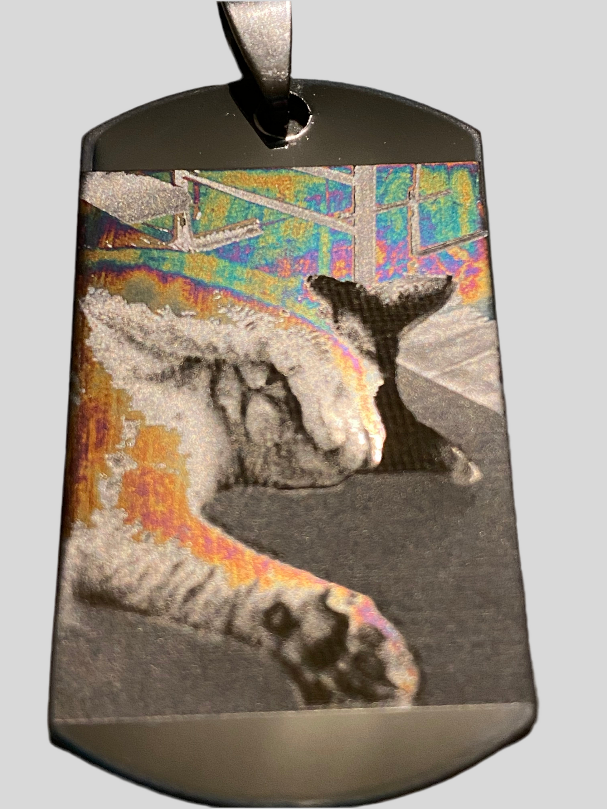 Premium style colour engraving of pet cat on stainless steel pendant