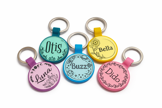 Set of colorful pet tags with names engraved on a white background