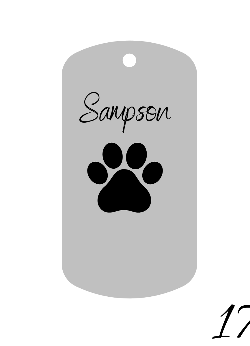 Custom Engraved Pet Keychain with Colour Photo Tags