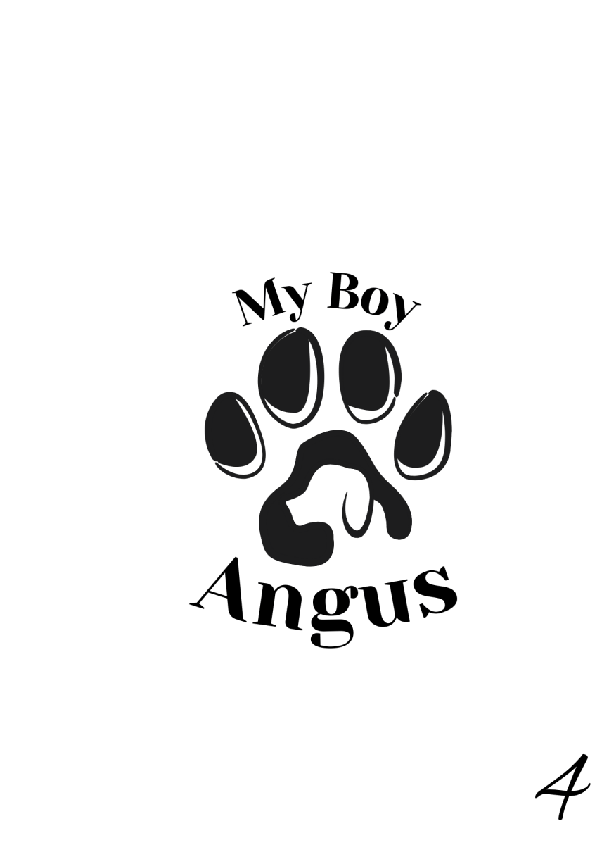Custom Engraved Pet Keychain with Colour Photo Tags