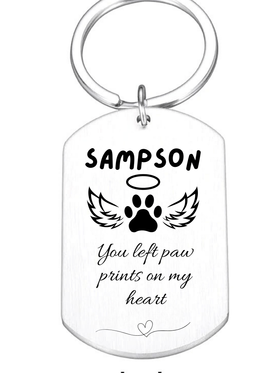 Custom Engraved Pet Keychain with Colour Photo Tags