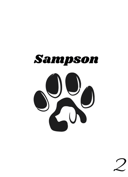Custom Engraved Pet Keychain with Colour Photo Tags