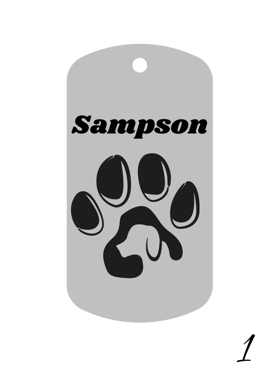 Custom Engraved Pet Keychain with Colour Photo Tags