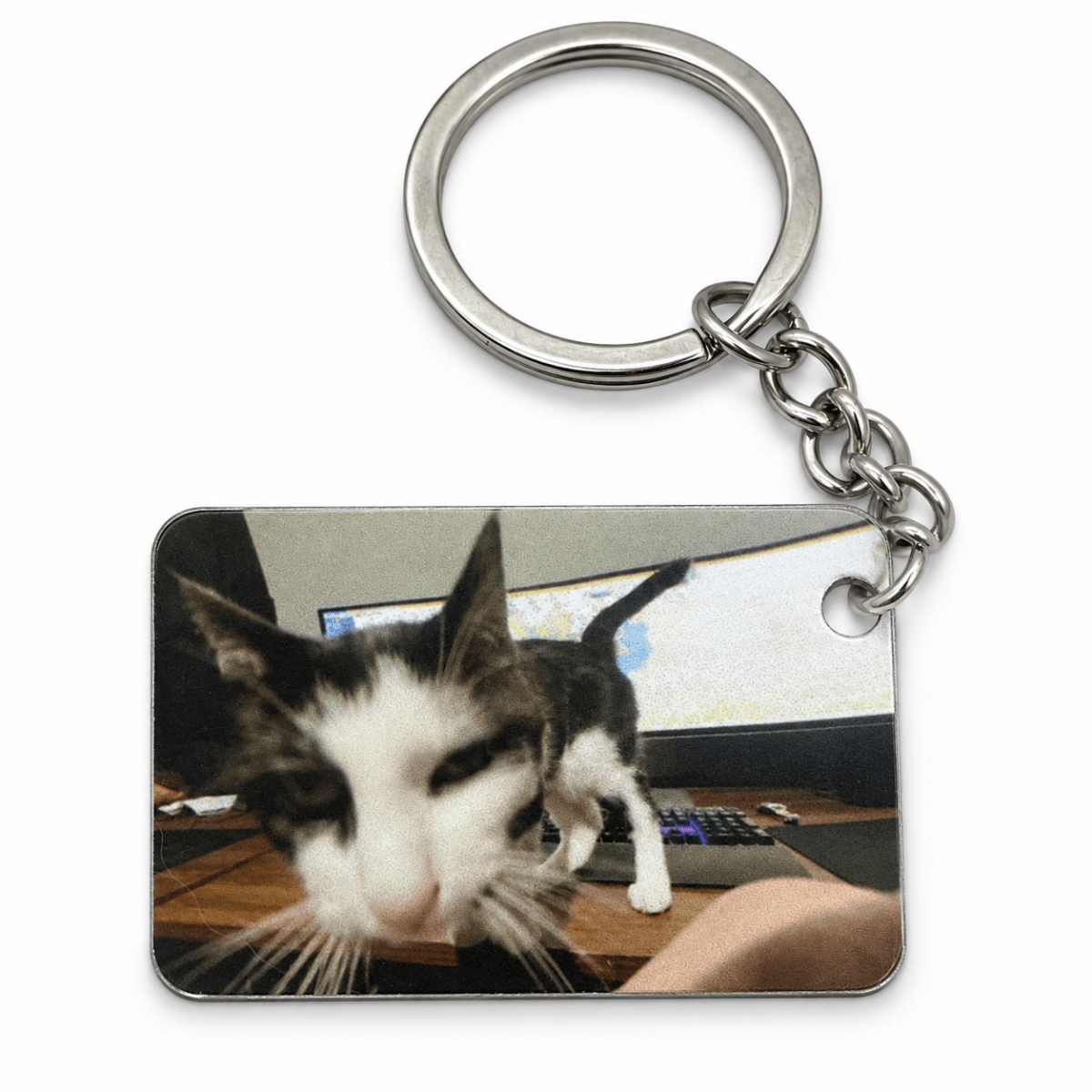 Custom Pet Photo KeychainKey Chains
