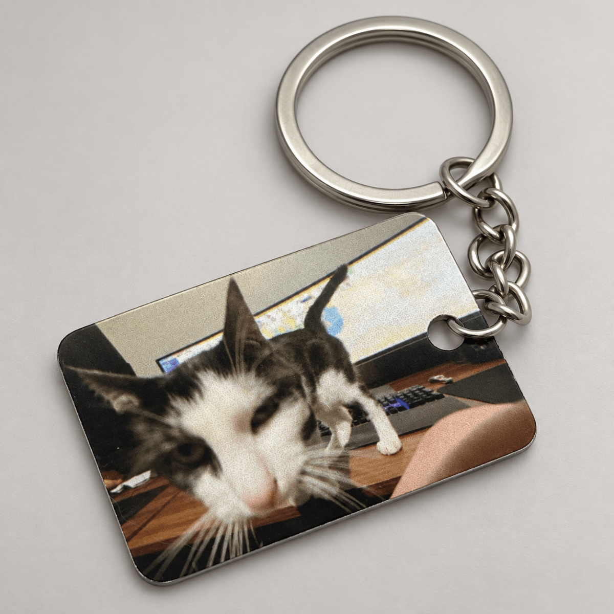 Custom Pet Photo KeychainKey Chains