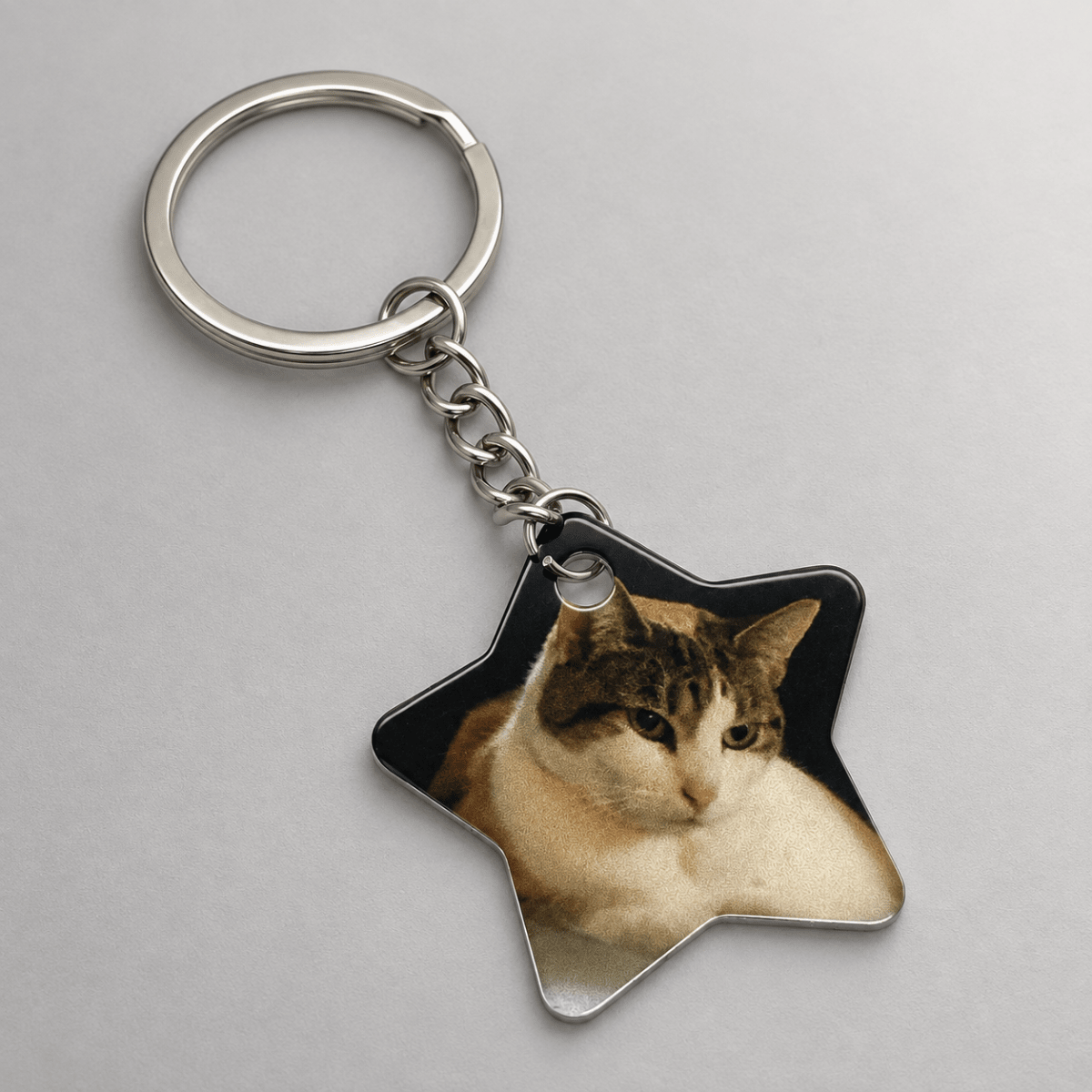 Custom Pet Photo KeychainKey Chains