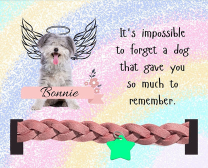 dog collar pet memorial picture rainbow