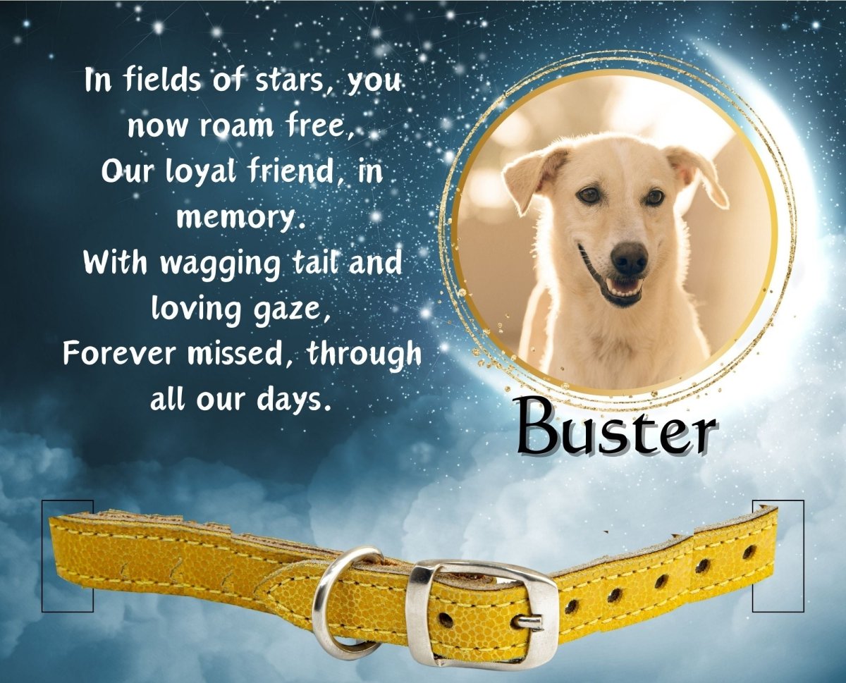 pet collar memorial frame stars