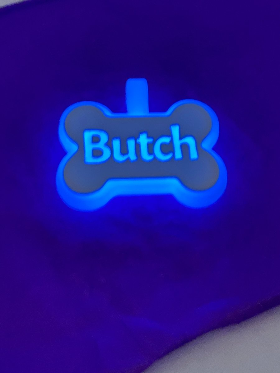 Glow In The Dark Pet ID Name Tags pet id tag