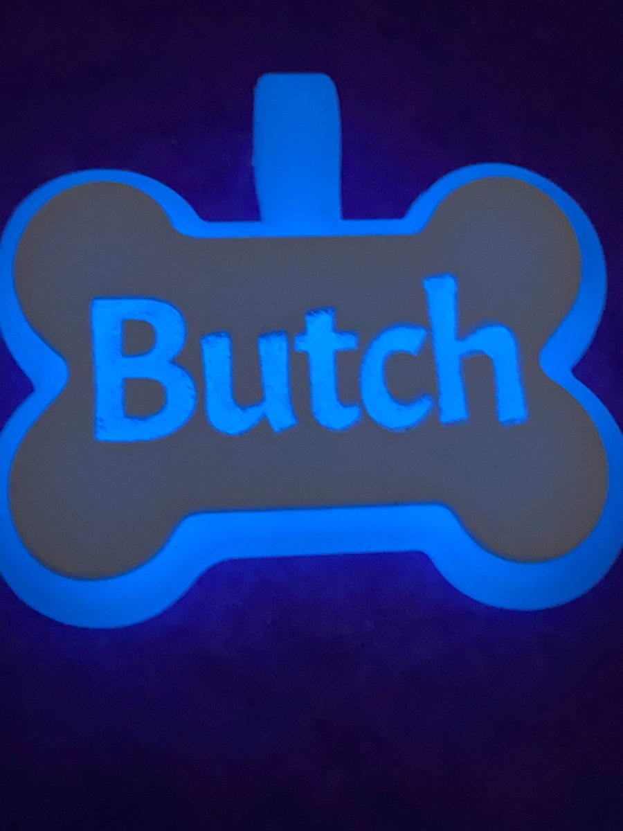 Glow In The Dark Pet ID Name Tags pet id tag