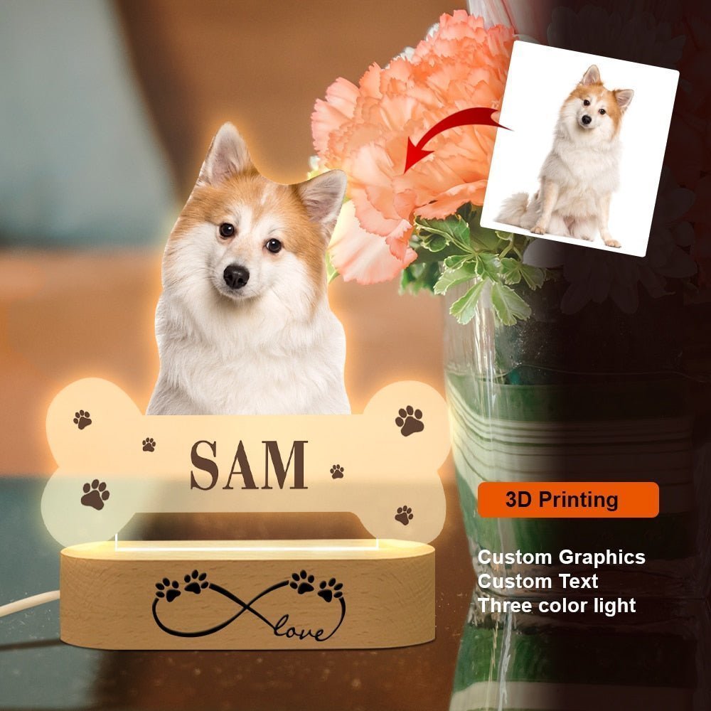 Personalised Custom Pet Photo LED Night Lightled custom light