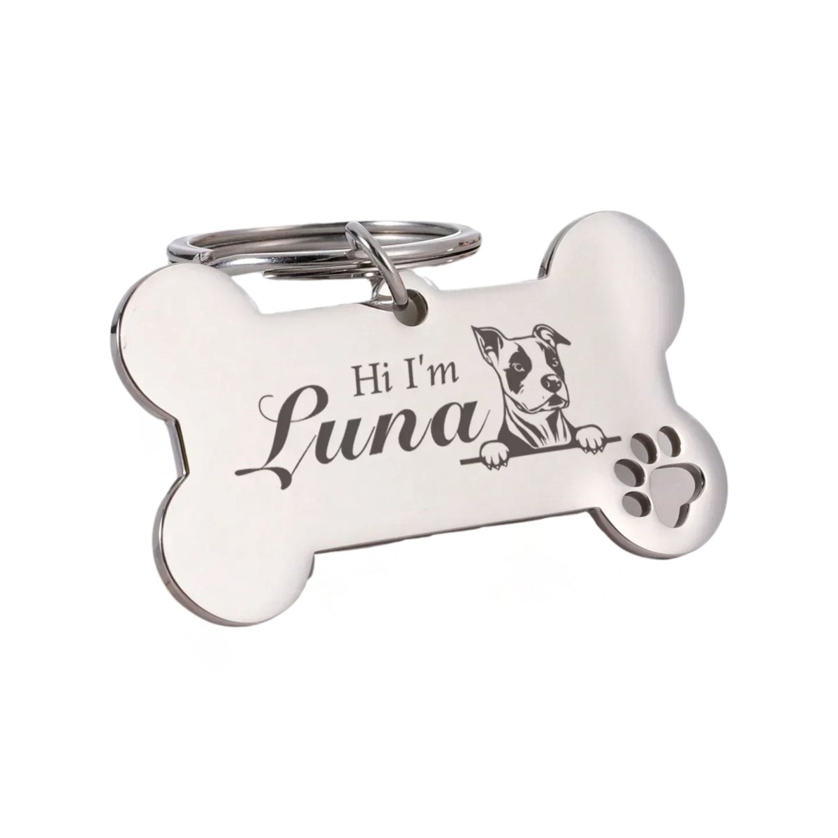 Pet Dog ID Tag Engraved Stainless Steel Bone