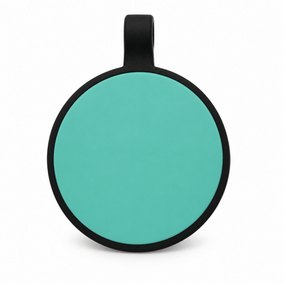 Plain Engraved Silicone Pet Identification Tagspet id tag