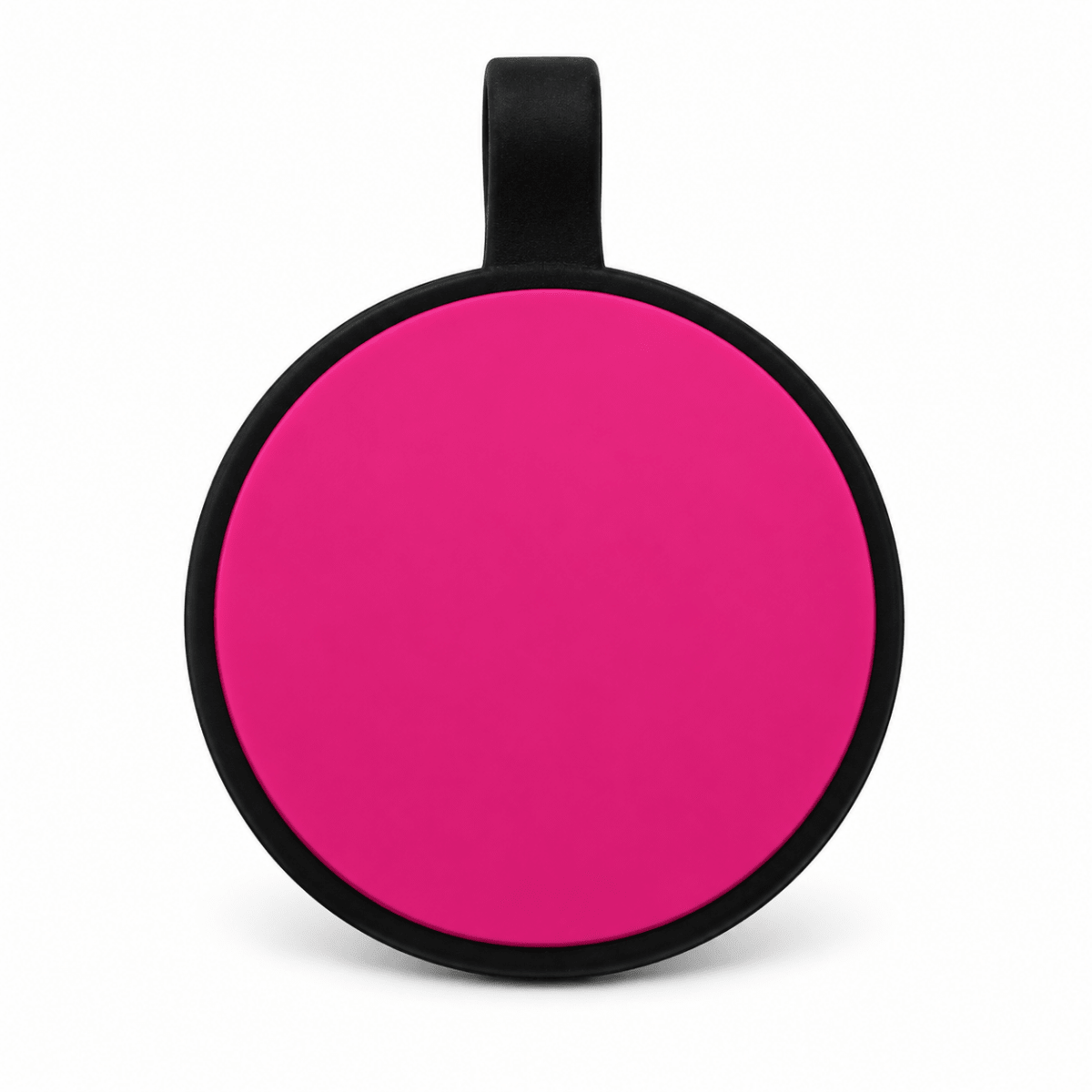 Plain Engraved Silicone Pet Identification Tagspet id tag