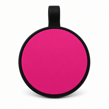 Plain Engraved Silicone Pet Identification Tagspet id tag